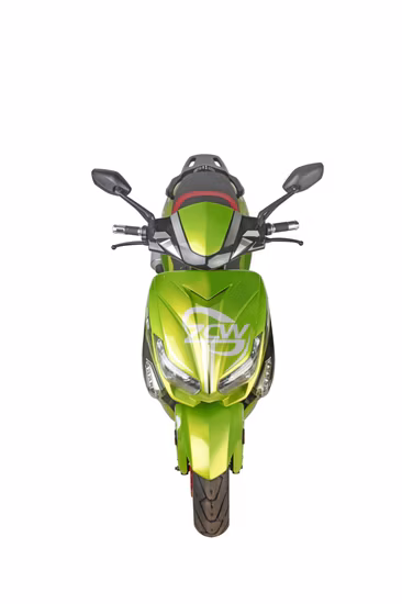 1000W 강력한 전기 오토바이 스쿠터/전기 오토바이 자전거(F1